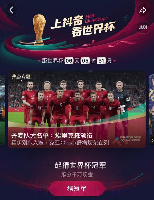 世界杯直播版权的经济博弈与法律走向深度解析 世界杯直播版权的经济博弈与法律走向深度解析